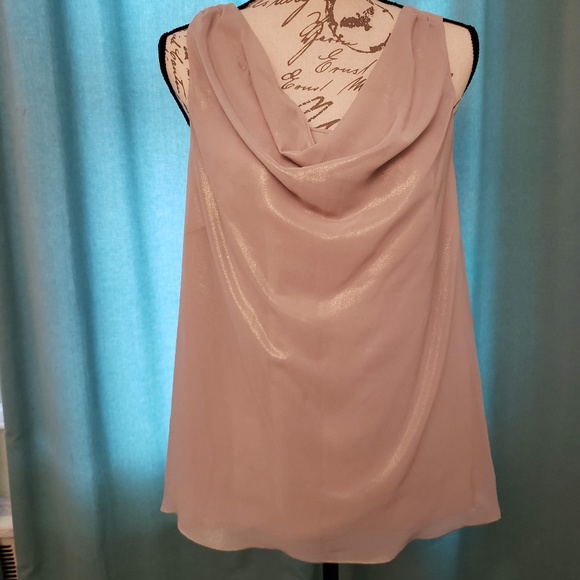 Gorgeous NWOT dusty beige sheer top size M - Picture 1 of 5